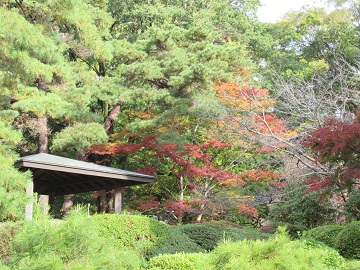 日本庭園四阿