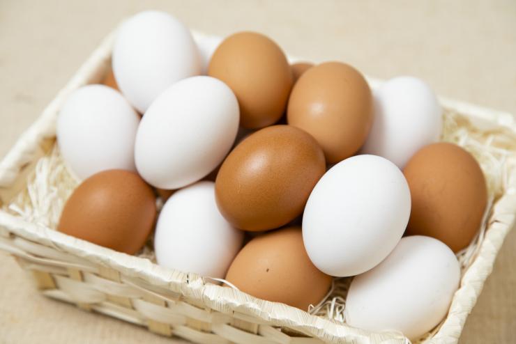 鶏卵（彩たまご）