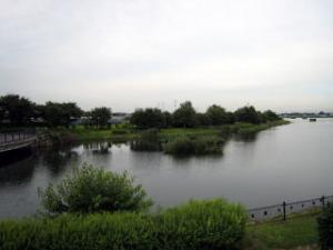 柴山沼の写真