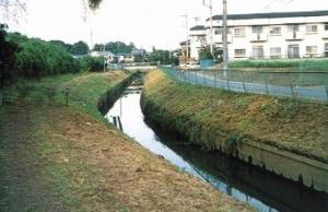 岩槻区内の古隅田川の写真