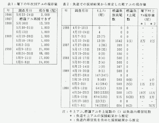 表1、堰下の年次別アユの現存量の表。表2、魚道での採捕結果から推定した稚アユの現存量の表