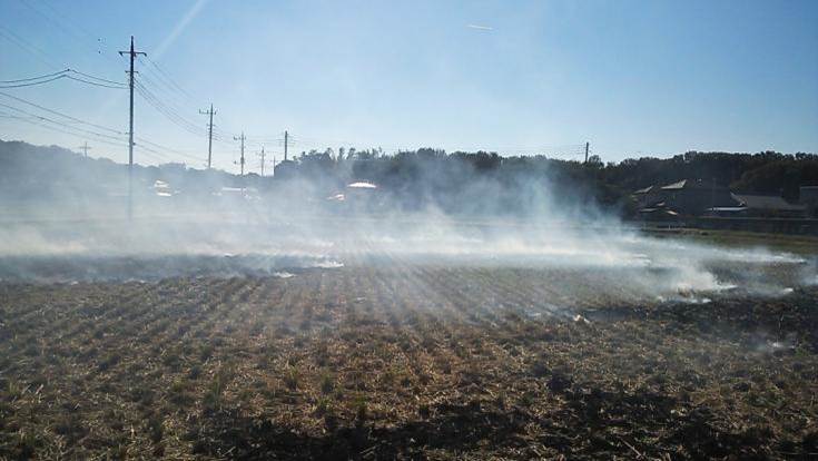 写真：田園地帯の枯れ草焼却の様子
