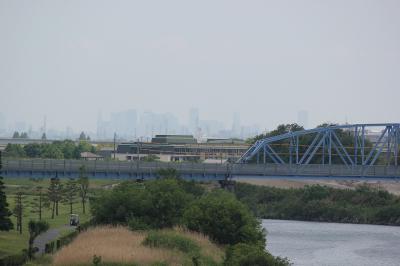 橋から見た東京都心