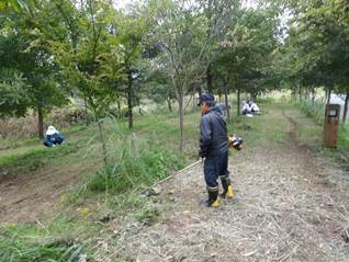 県民ボランティアが森林の手入れを行っている写真