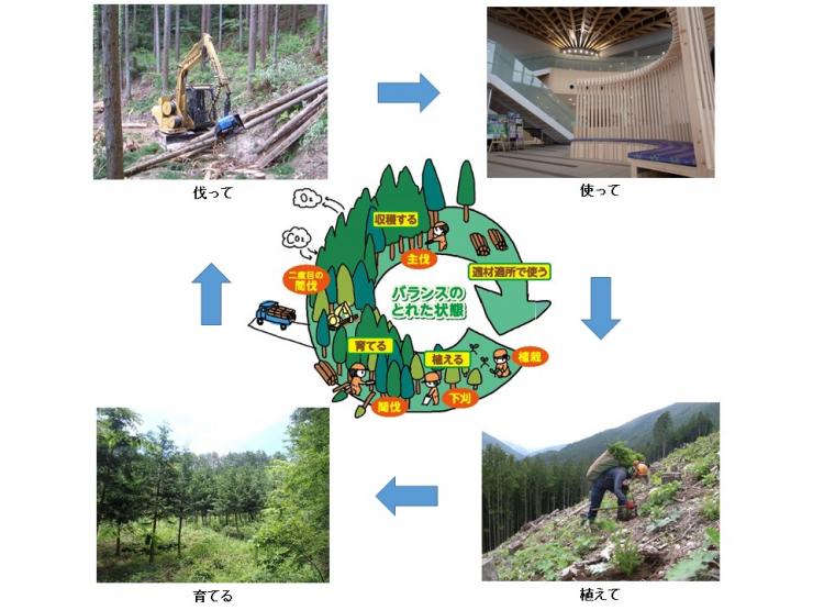 森林の循環利用