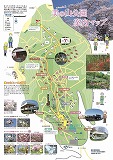 minoyama annnai map