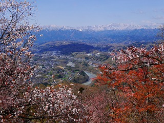 初春に美の山公園から秩父盆地を眺めた様子。雪をかぶった秩父連山が見える。
