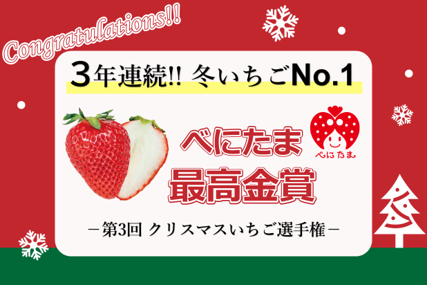 Congratulations!!3年連続!!冬イチゴNo.1。べにたま最高金賞-第３回クリスマスいちご選手権-