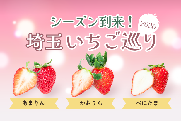 シーズン到来！埼玉いちご巡り2026、あまりん、かおりん、べにたま