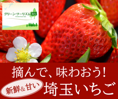 グリーン・ツーリズム埼玉,摘んで、味わおう！新鮮＆甘い,埼玉いちご