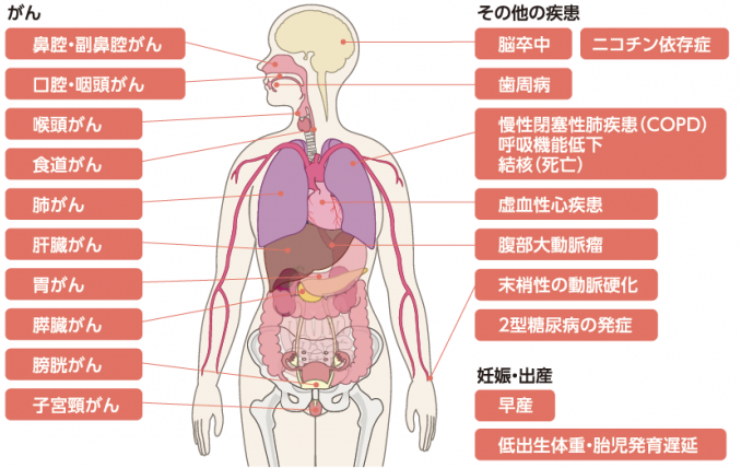 喫煙者のかかりやすい疾患（図）