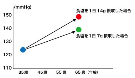 食塩高血圧グラフ