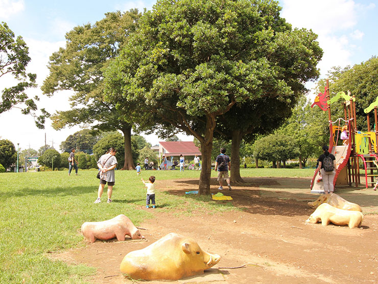 一日中遊べる 行きたくなる公園シリーズ 浦和美園 埼玉県