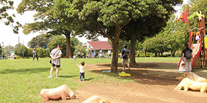 一日中遊べる！行きたくなる公園シリーズ（浦和美園）