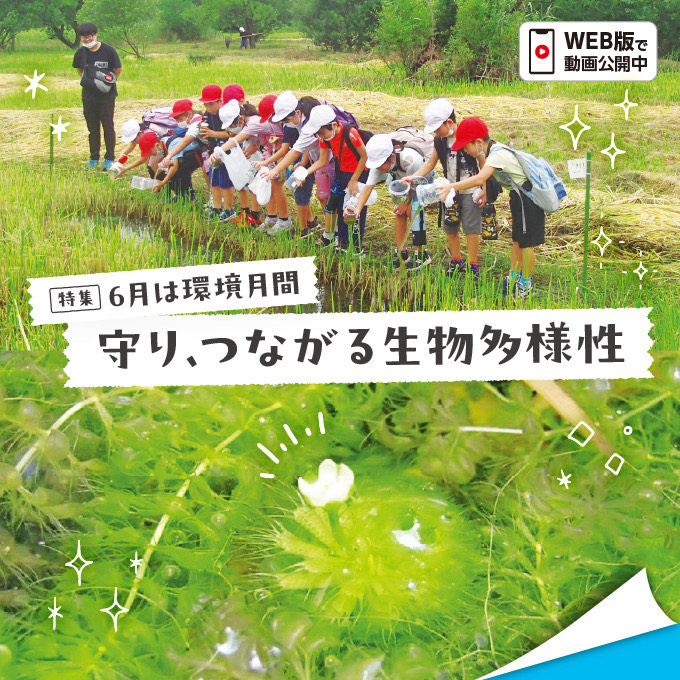 6月は環境月間 守り、つながる生物多様性