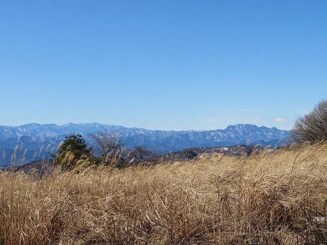 高原牧場