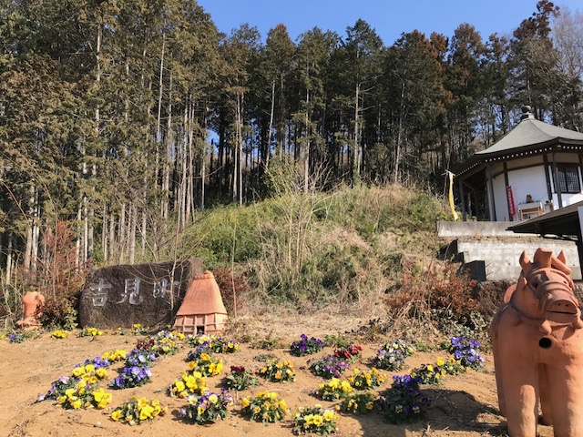 吉見町百穴の写真