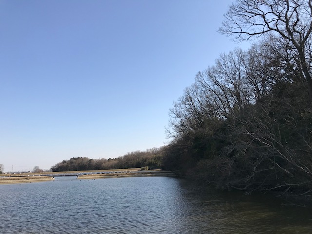 吉見町和名沼の写真