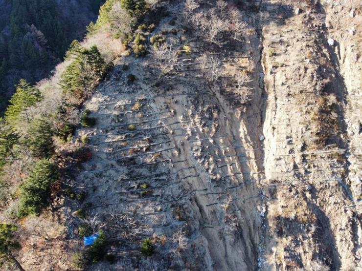 4下山荒廃森林再生工事の完成後の現場写真です