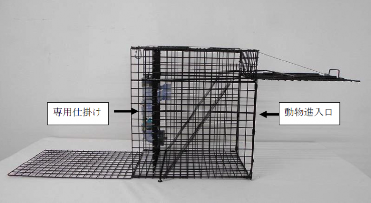 アライグマ専用捕獲器