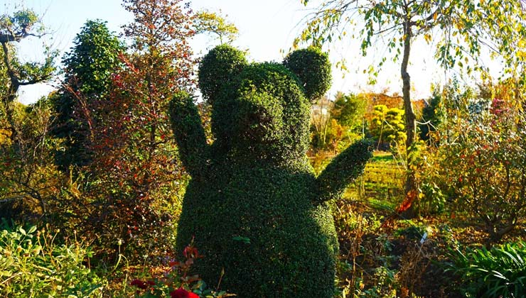 熊の形に刈り取られた植木