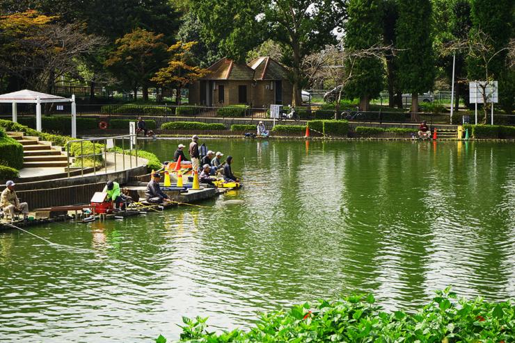 さぎ山記念公園釣り堀