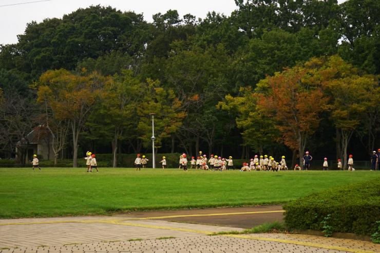 さぎ山記念公園芝生