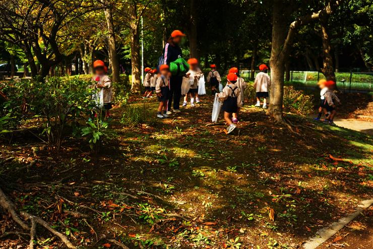 さぎ山記念公園どんぐり