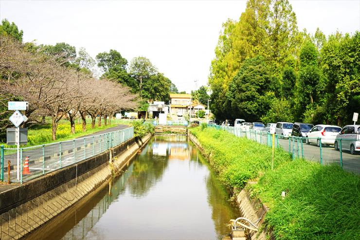 さぎ山記念公園見沼代用水