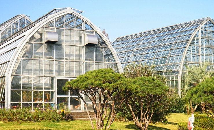 園芸植物園の温室外観