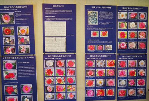 埼玉県花と緑の振興センター