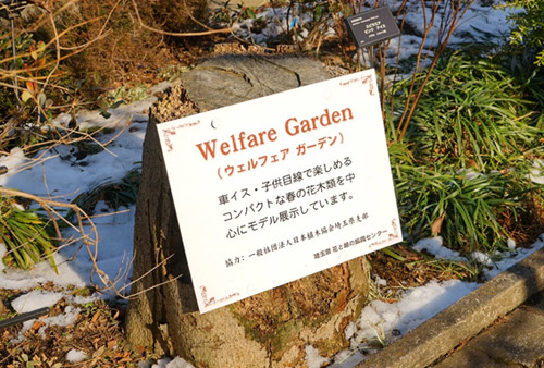 埼玉県花と緑の振興センター09