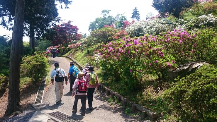 五大尊つつじ公園