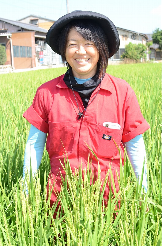 稲と矢澤充代さん