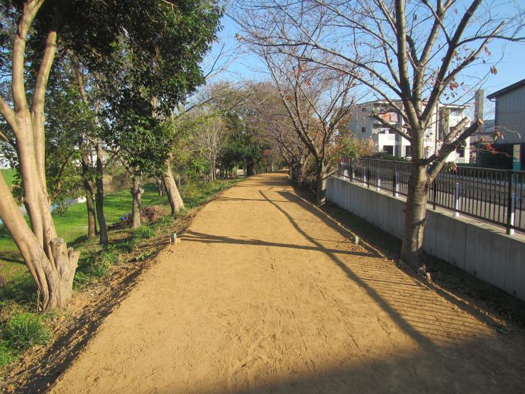 綾瀬川(川口)遊歩道2