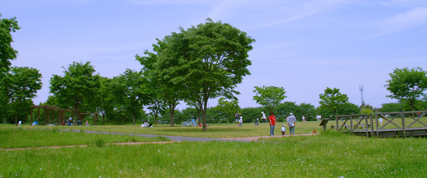 びん沼自然公園