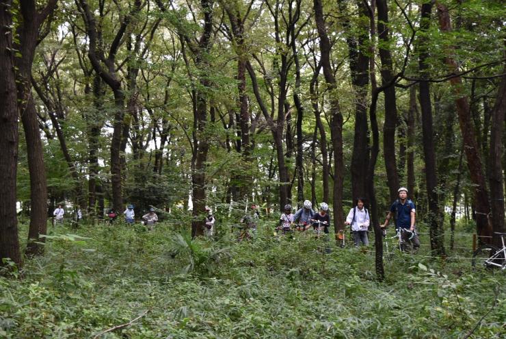 緑のトラスト保全地