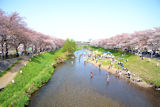 黒目川（朝霞市)