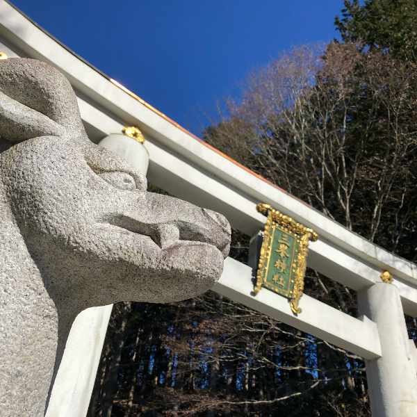 三峯神社お犬様