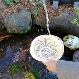 今宮神社銭洗い