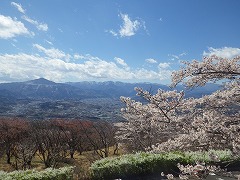 展望台からの武甲山とソメイヨシノ