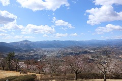 山頂展望台からの晴れた日の桜