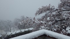 雪の入口展望台から