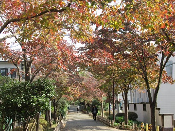 第二公園連絡通路