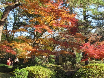 紅葉の下で記念撮影