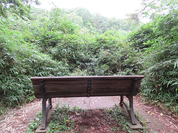 笹刈前のベンチ