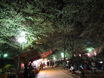 夜桜見物の様子