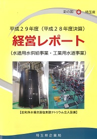 H29（H28決算版）経営レポート表紙