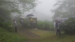 カメラマンでにぎわう園地