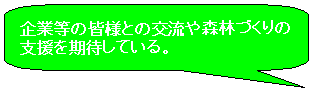 森林所有者のコメント